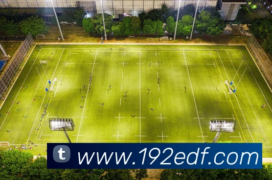 App Interface Preview